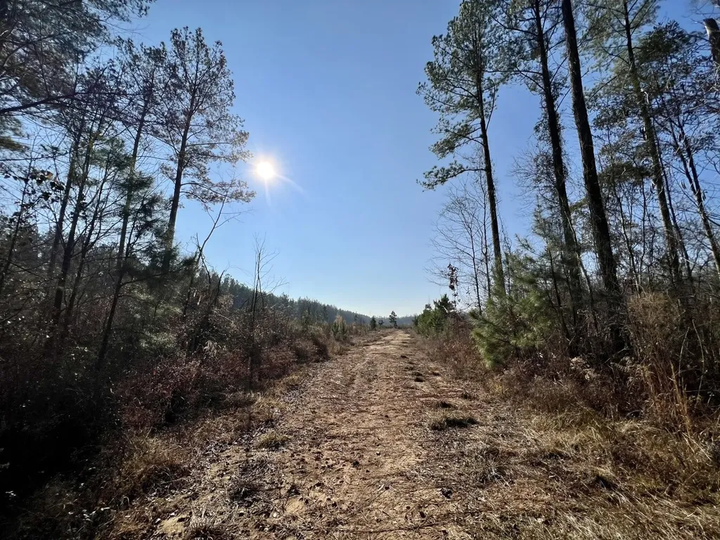 0 County Road 219 Summerfield AL 36701