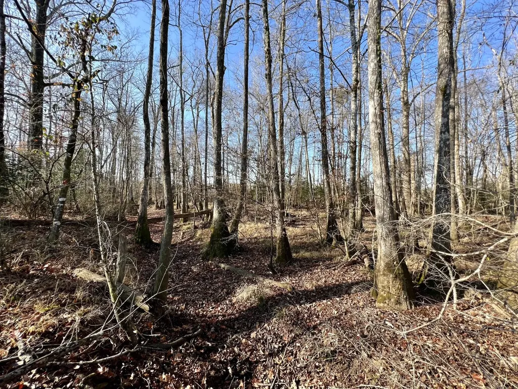 0 County Road 219 Summerfield AL 36701