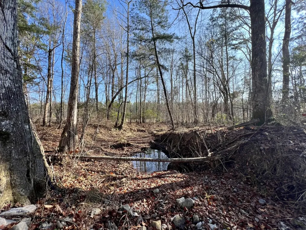 0 County Road 219 Summerfield AL 36701