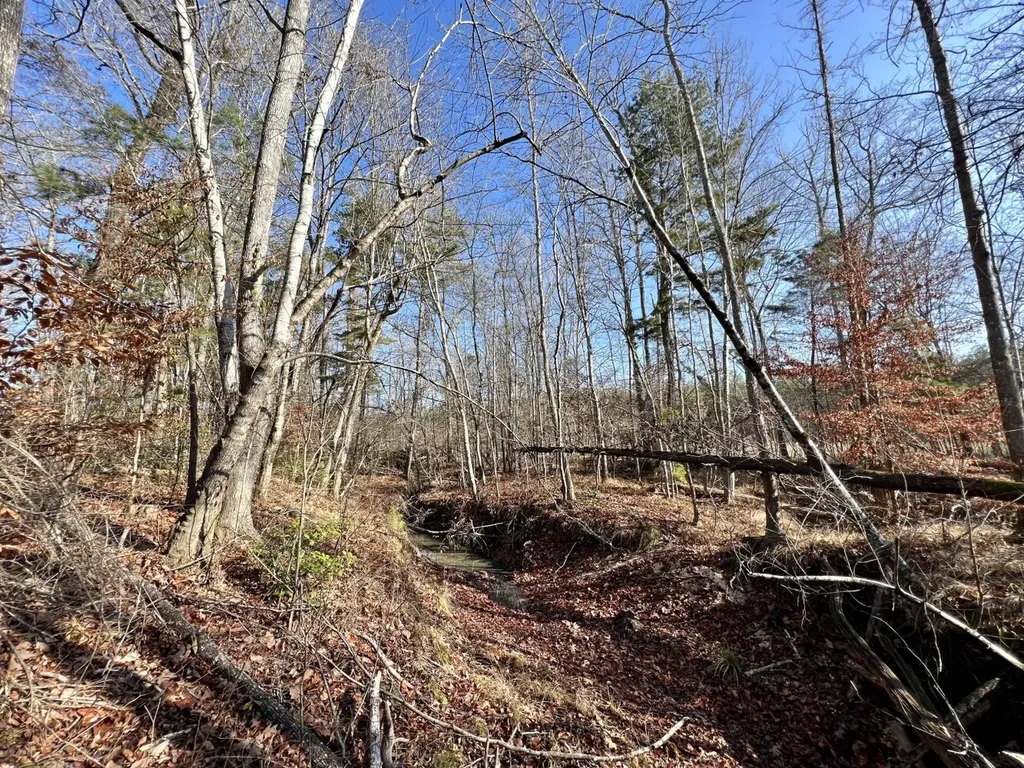 0 County Road 219 Summerfield AL 36701