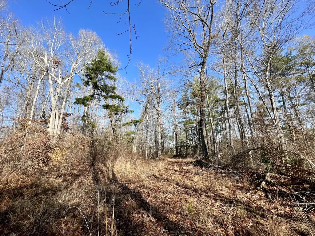 0 County Road 219 Summerfield AL 36701