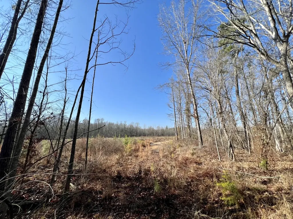 0 County Road 219 Summerfield AL 36701