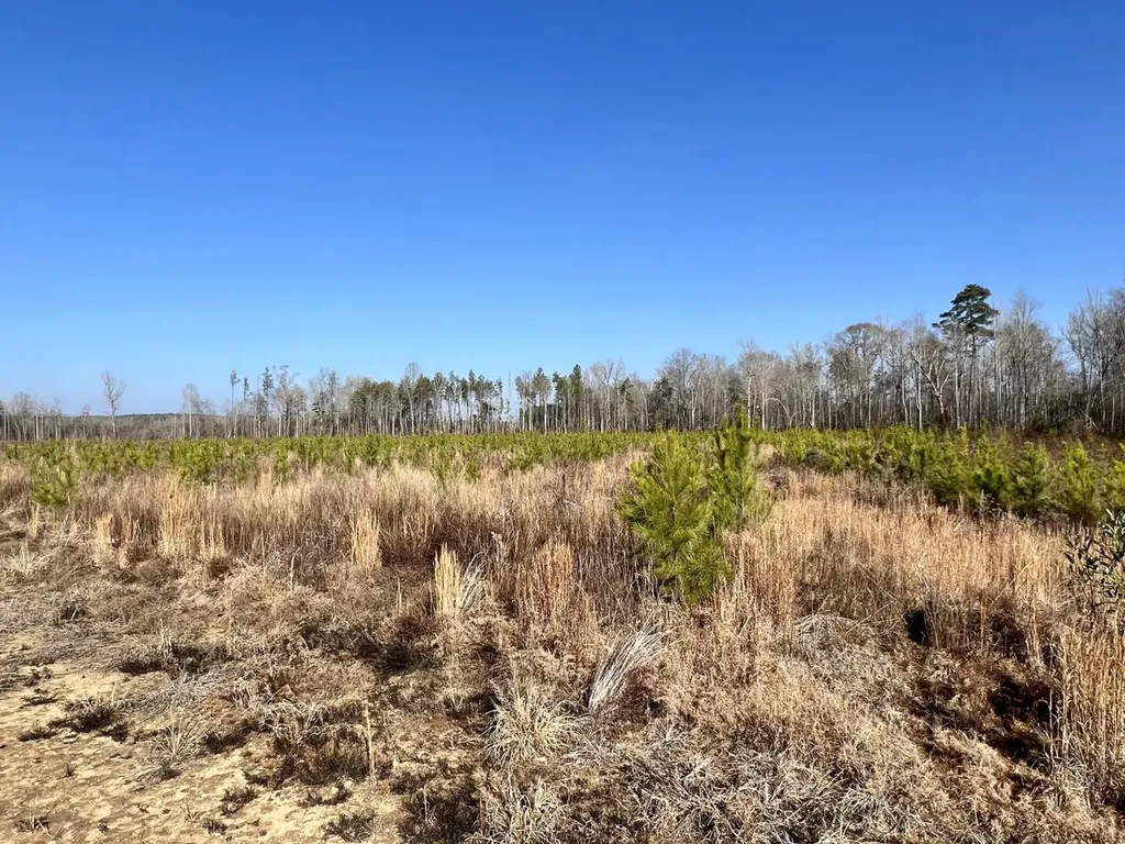 0 County Road 219 Summerfield AL 36701