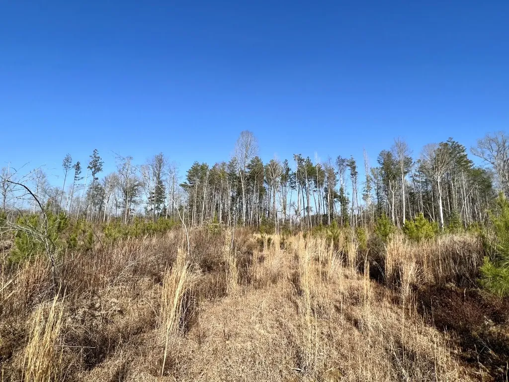 0 County Road 219 Summerfield AL 36701