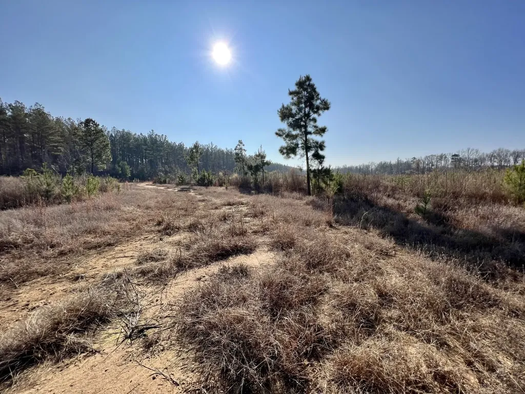 0 County Road 219 Summerfield AL 36701