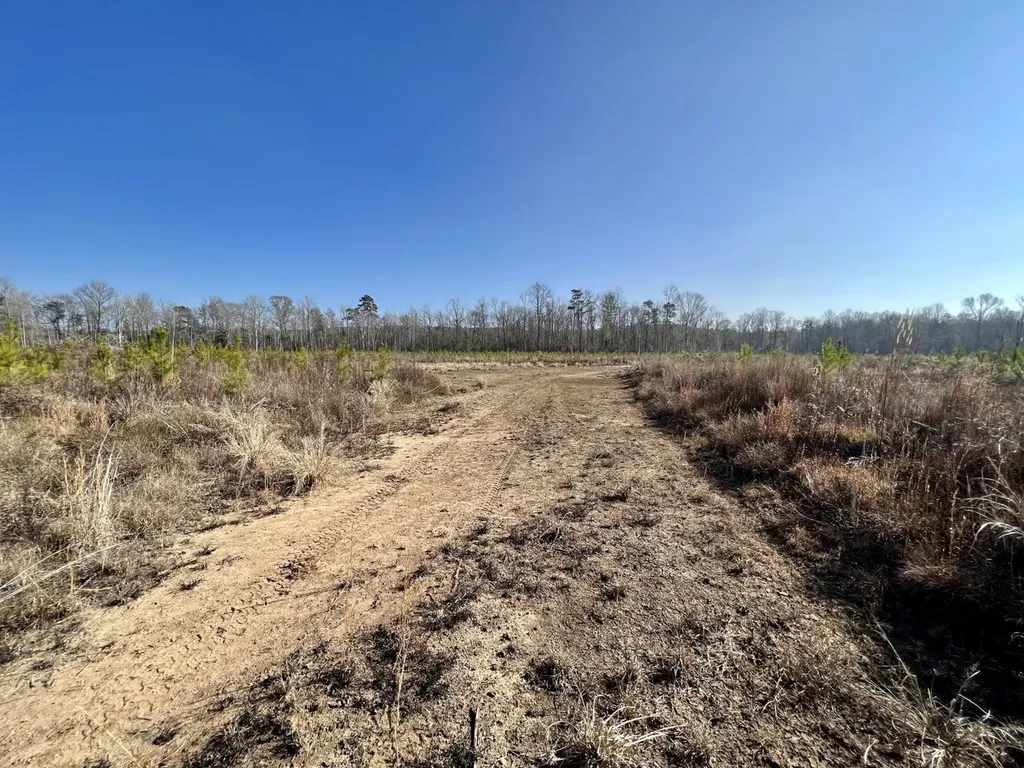 0 County Road 219 Summerfield AL 36701