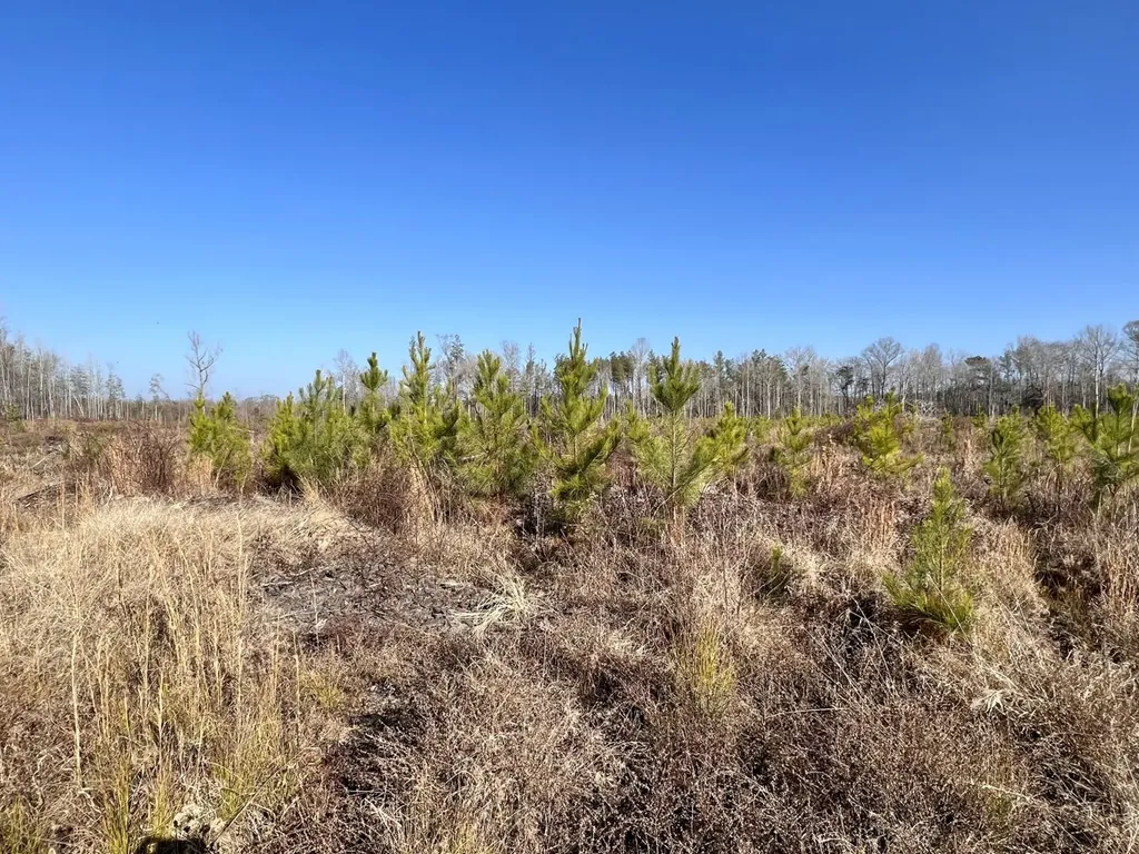 0 County Road 219 Summerfield AL 36701