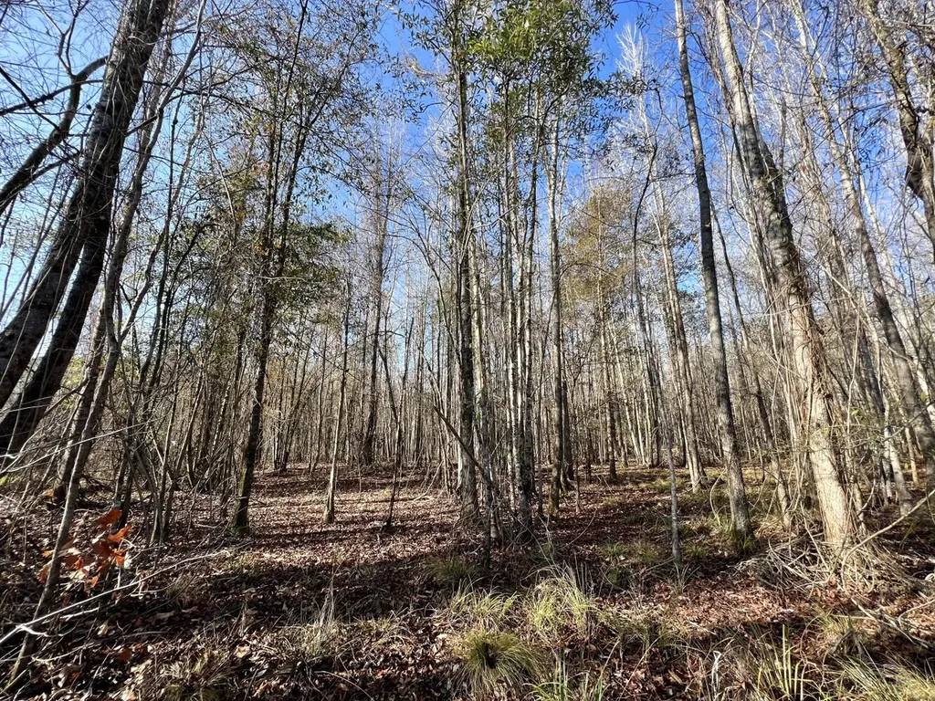 0 County Road 219 Summerfield AL 36701