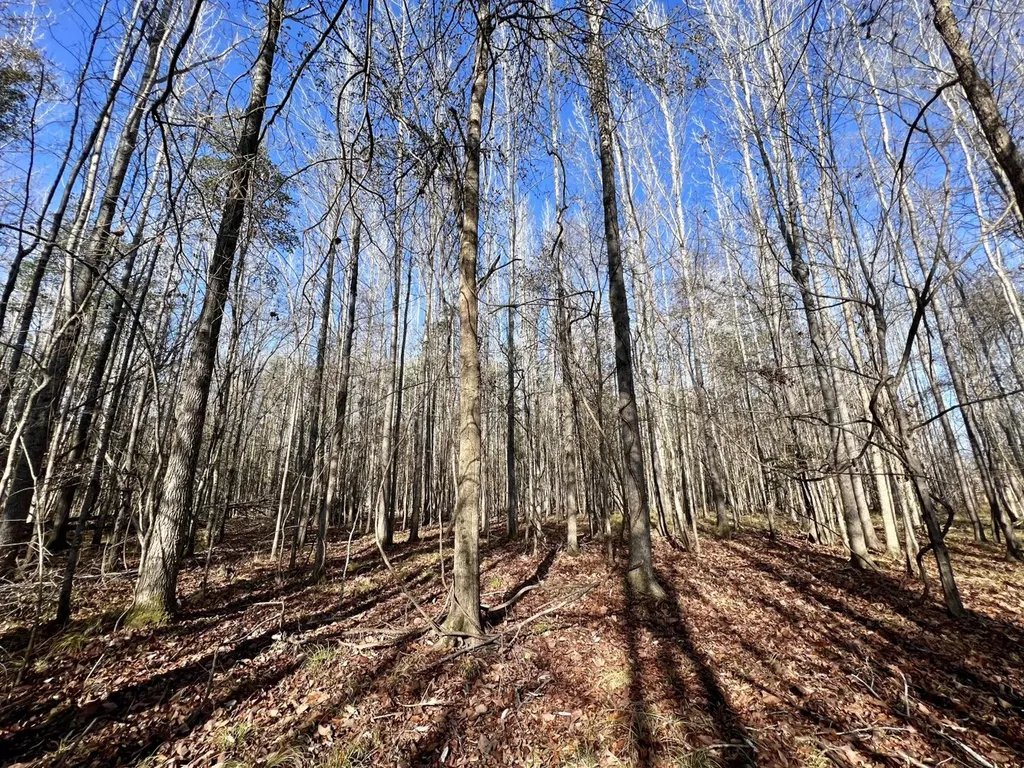 0 County Road 219 Summerfield AL 36701