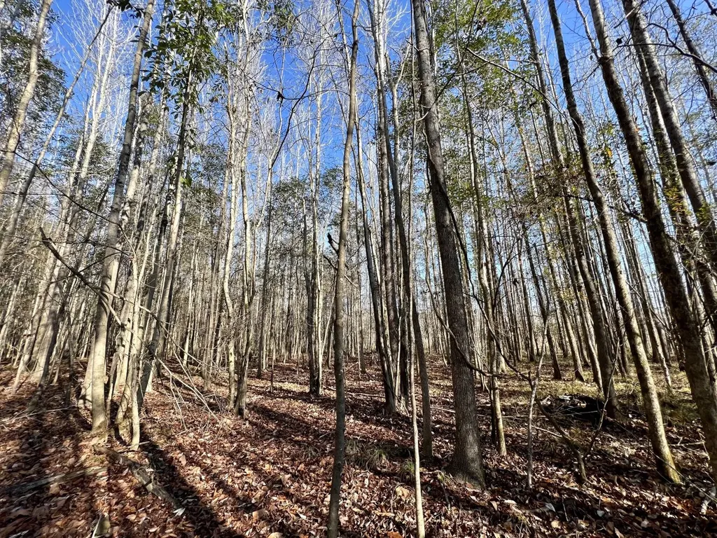 0 County Road 219 Summerfield AL 36701