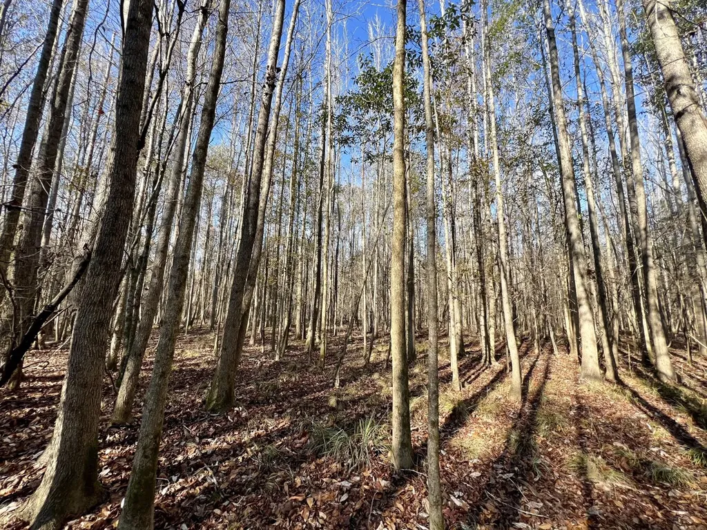 0 County Road 219 Summerfield AL 36701