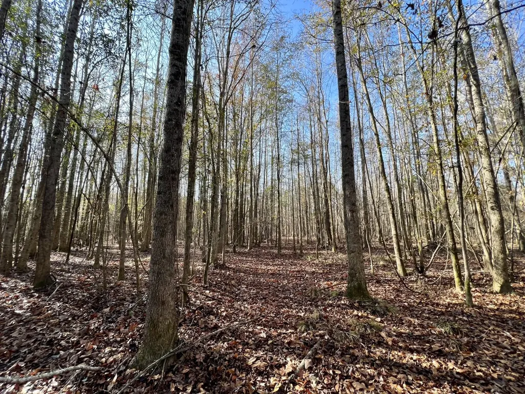 0 County Road 219 Summerfield AL 36701