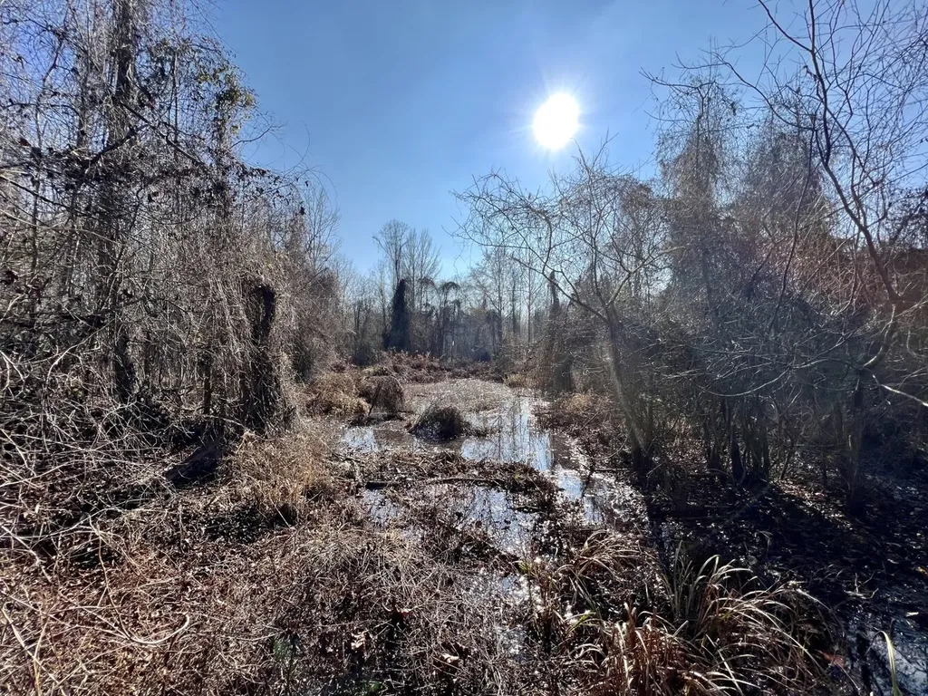 0 County Road 219 Summerfield AL 36701