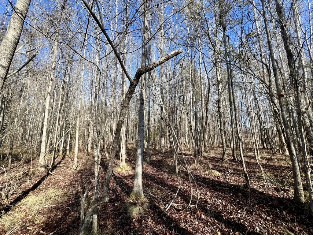 0 County Road 219 Summerfield AL 36701