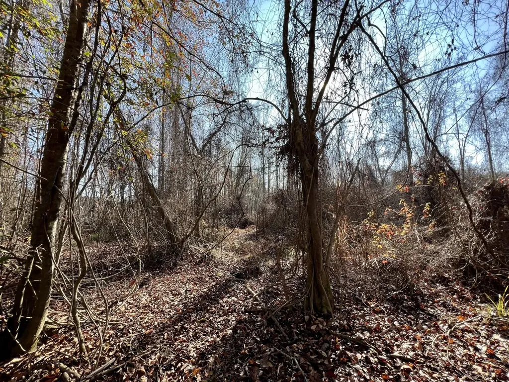 0 County Road 219 Summerfield AL 36701