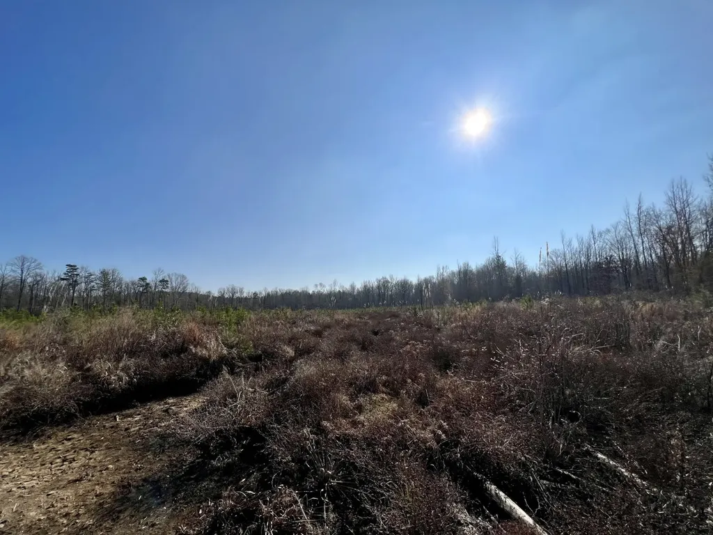 0 County Road 219 Summerfield AL 36701