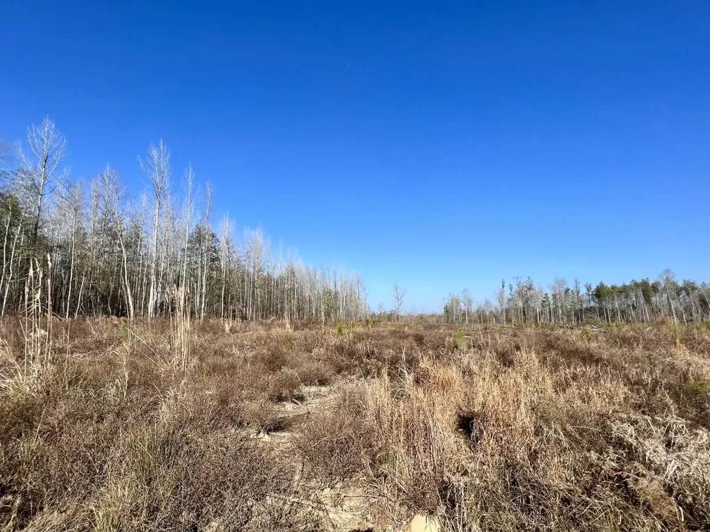 0 County Road 219 Summerfield AL 36701