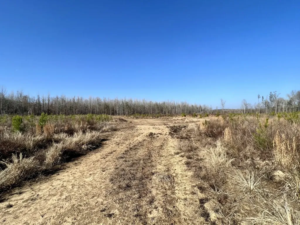 0 County Road 219 Summerfield AL 36701