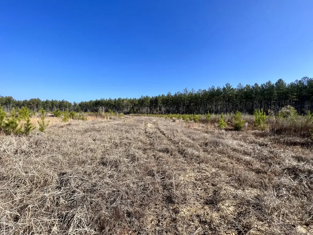 0 County Road 219 Summerfield AL 36701