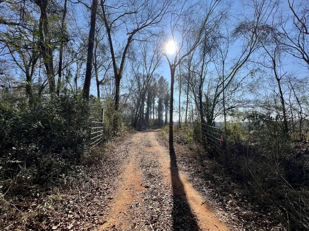 0 County Road 219 Summerfield AL 36701
