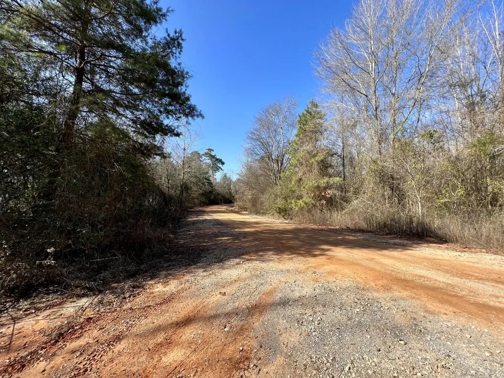 0 County Road 219 Summerfield AL 36701