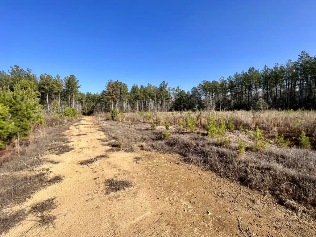 0 County Road 219 Summerfield AL 36701