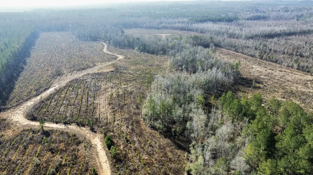 0 County Road 219 Summerfield AL 36701