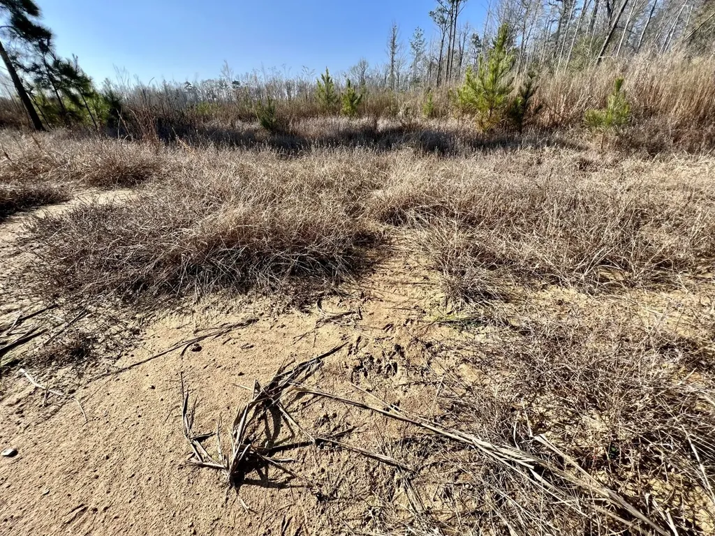 0 County Road 219 Summerfield AL 36701