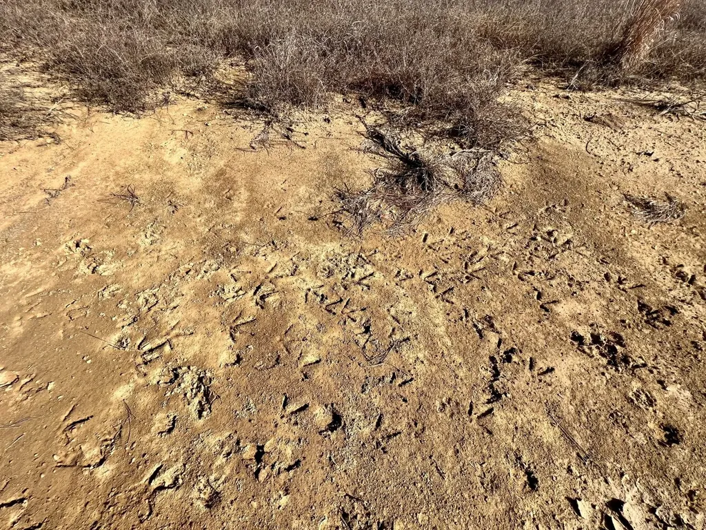 0 County Road 219 Summerfield AL 36701