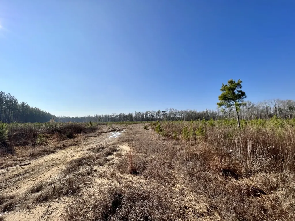 0 County Road 219 Summerfield AL 36701