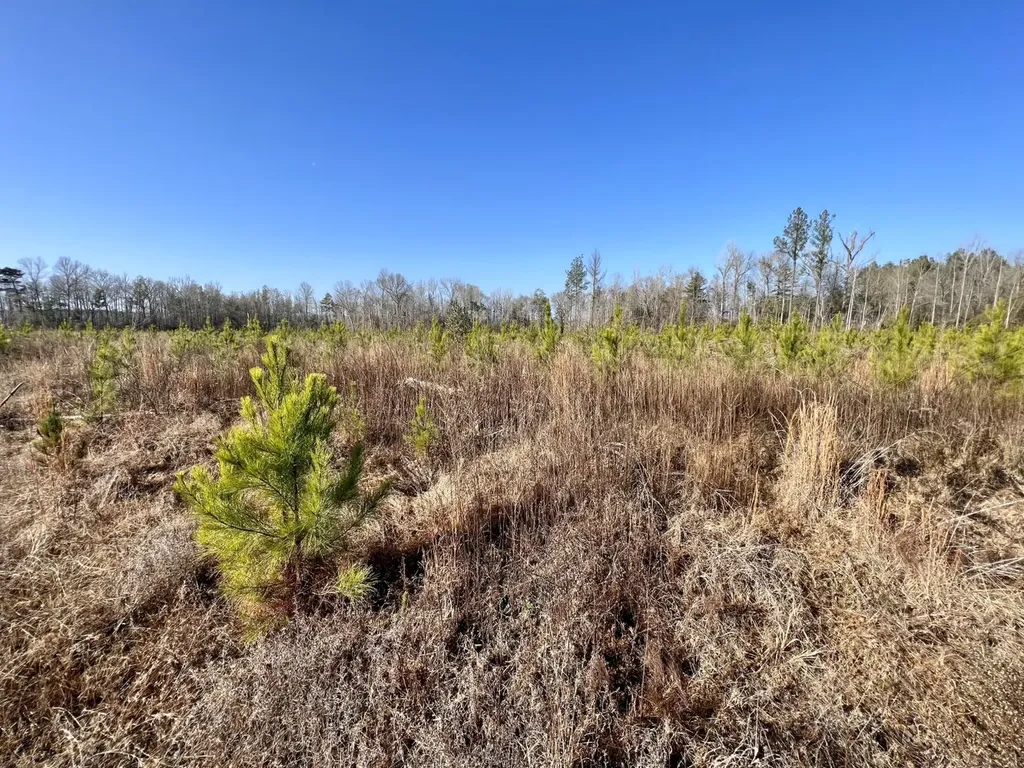 0 County Road 219 Summerfield AL 36701