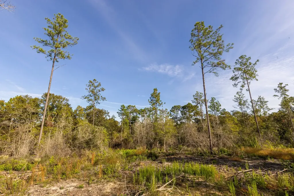 0 Whitehouse Fork Road Bay Minette AL 36507