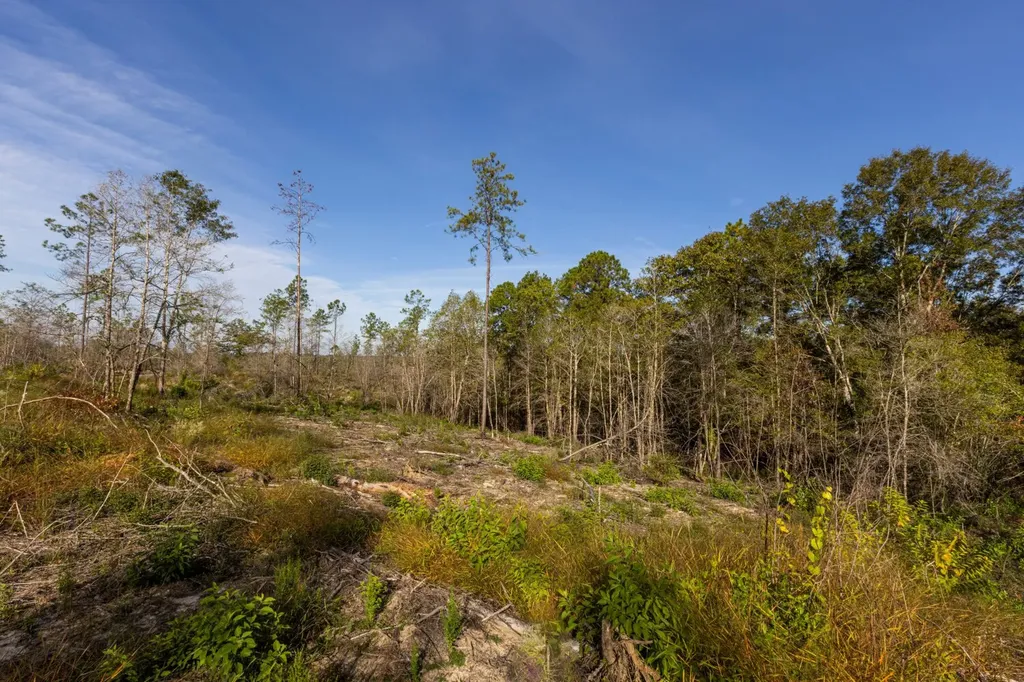 0 Whitehouse Fork Road Bay Minette AL 36507