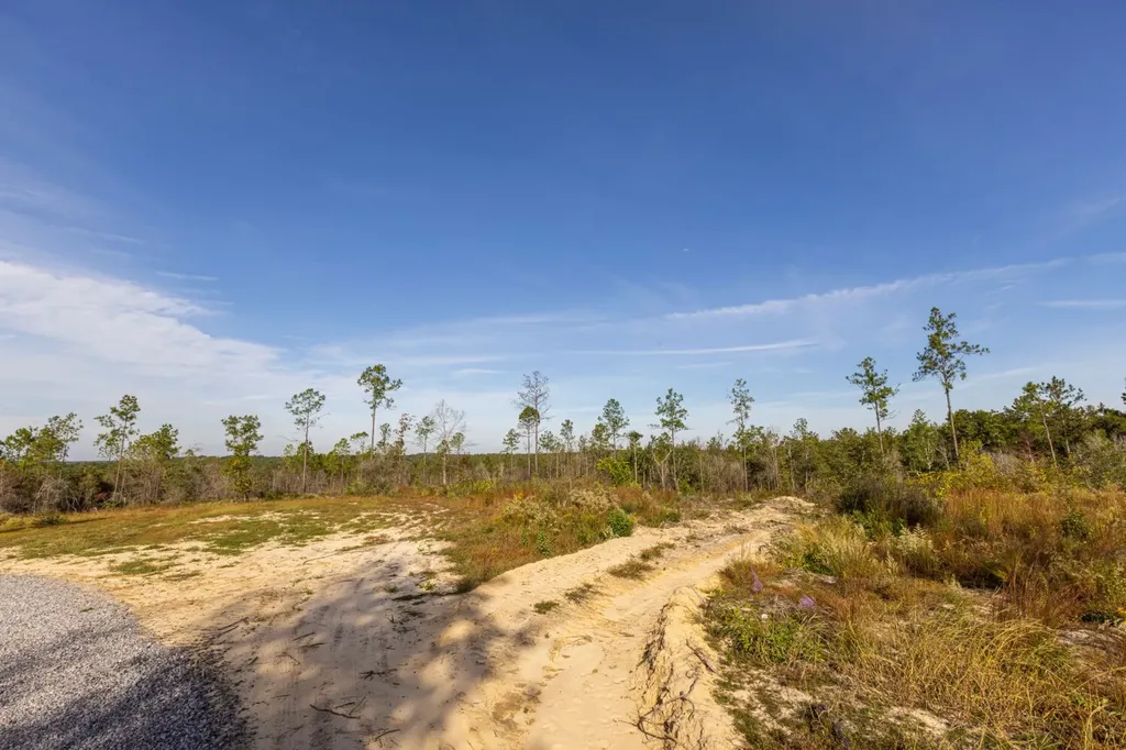 0 Whitehouse Fork Road Bay Minette AL 36507