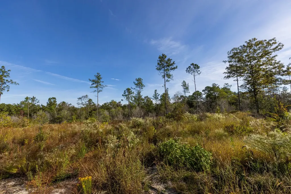 0 Whitehouse Fork Road Bay Minette AL 36507