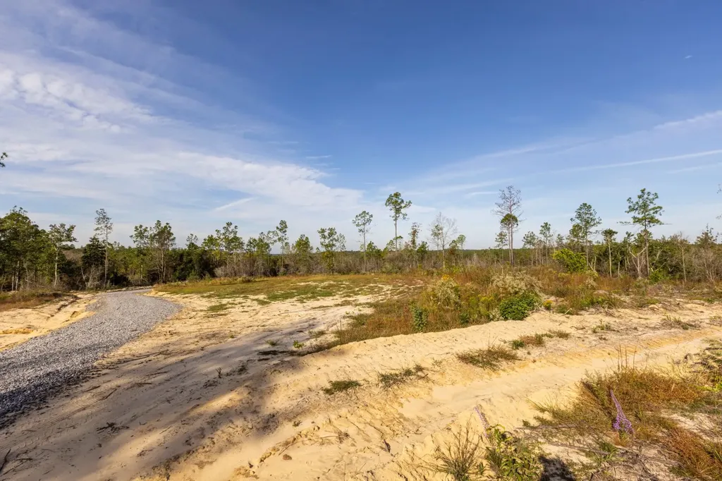 0 Whitehouse Fork Road Bay Minette AL 36507