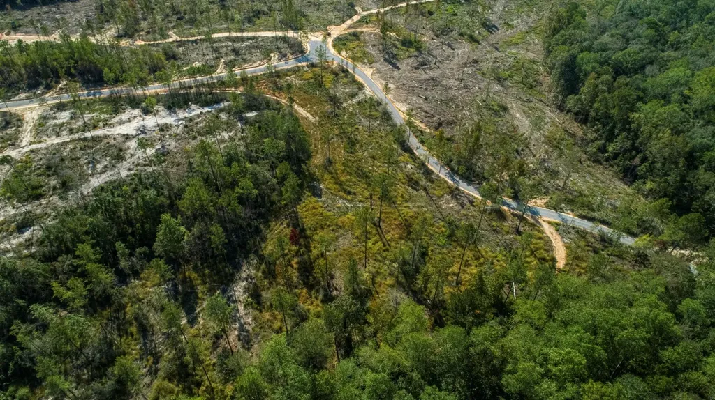 0 Whitehouse Fork Road Bay Minette AL 36507