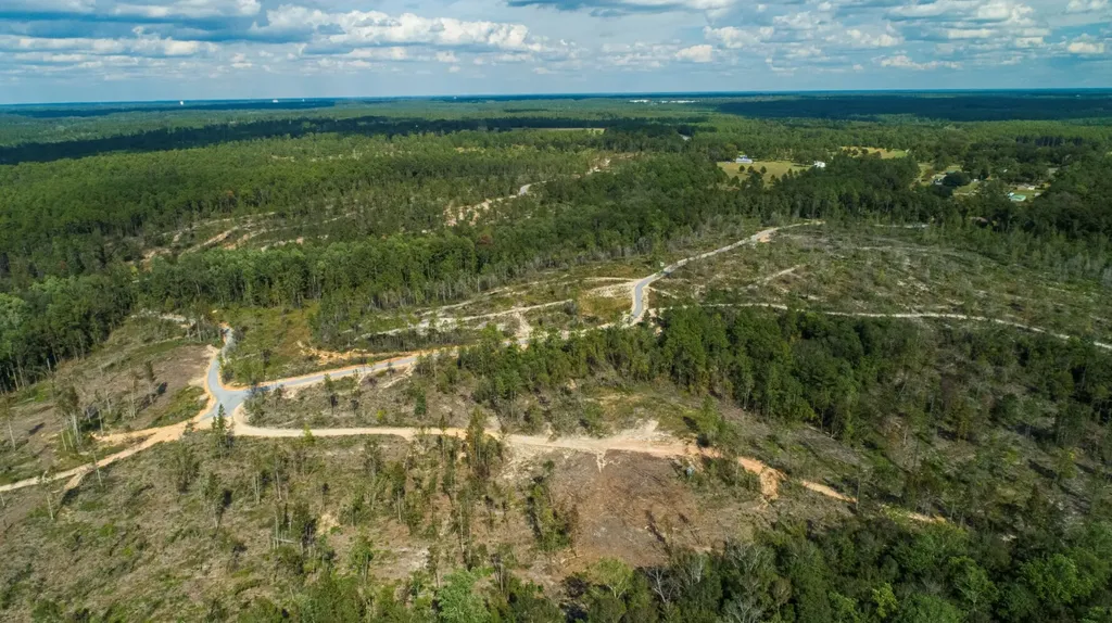 0 Whitehouse Fork Road Bay Minette AL 36507