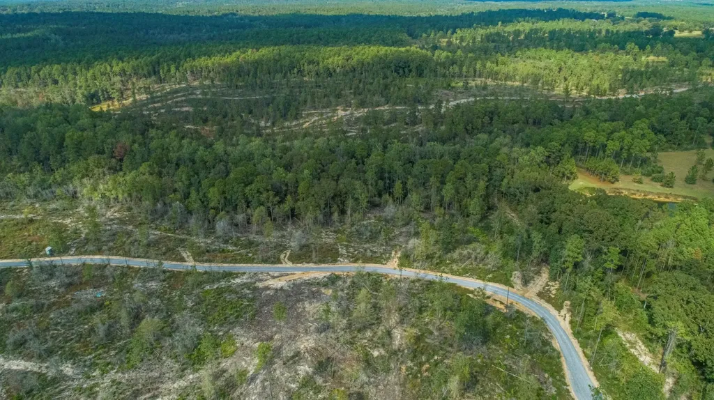 0 Whitehouse Fork Road Bay Minette AL 36507