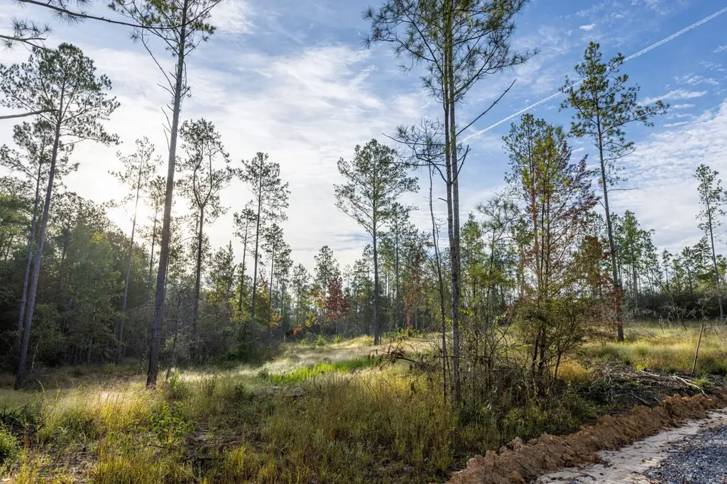 0 Whitehouse Fork Road Bay Minette AL 36507