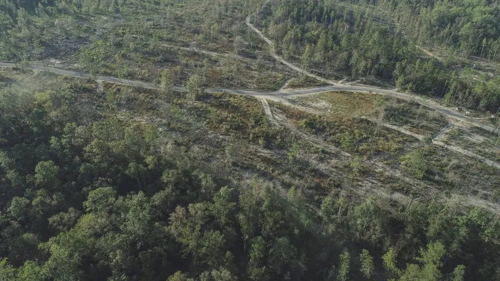 0 Whitehouse Fork Road Bay Minette AL 36507