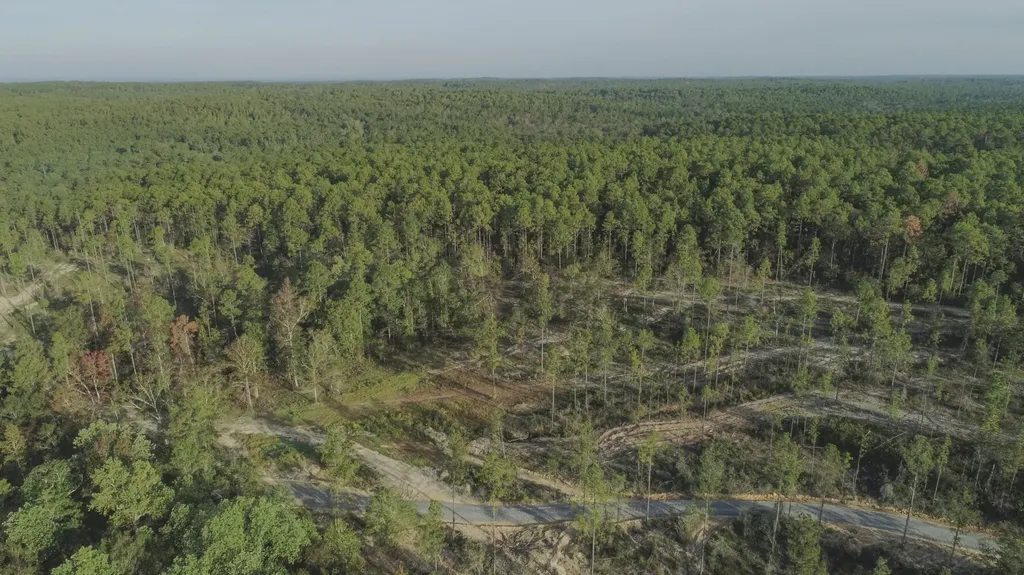 0 Whitehouse Fork Road Bay Minette AL 36507