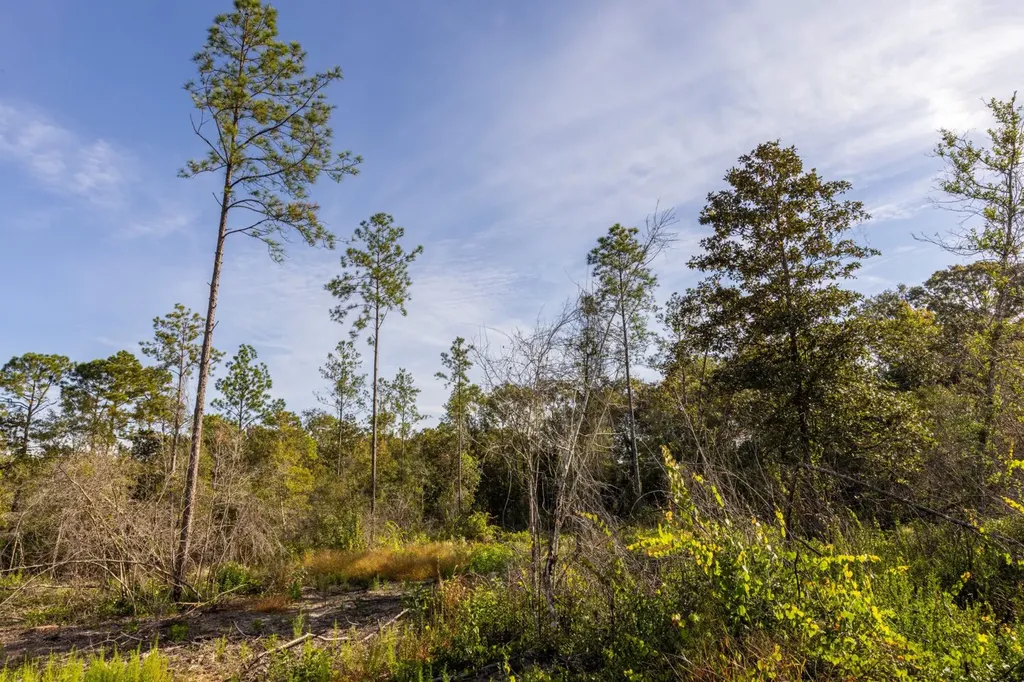 0 Whitehouse Fork Road Bay Minette AL 36507