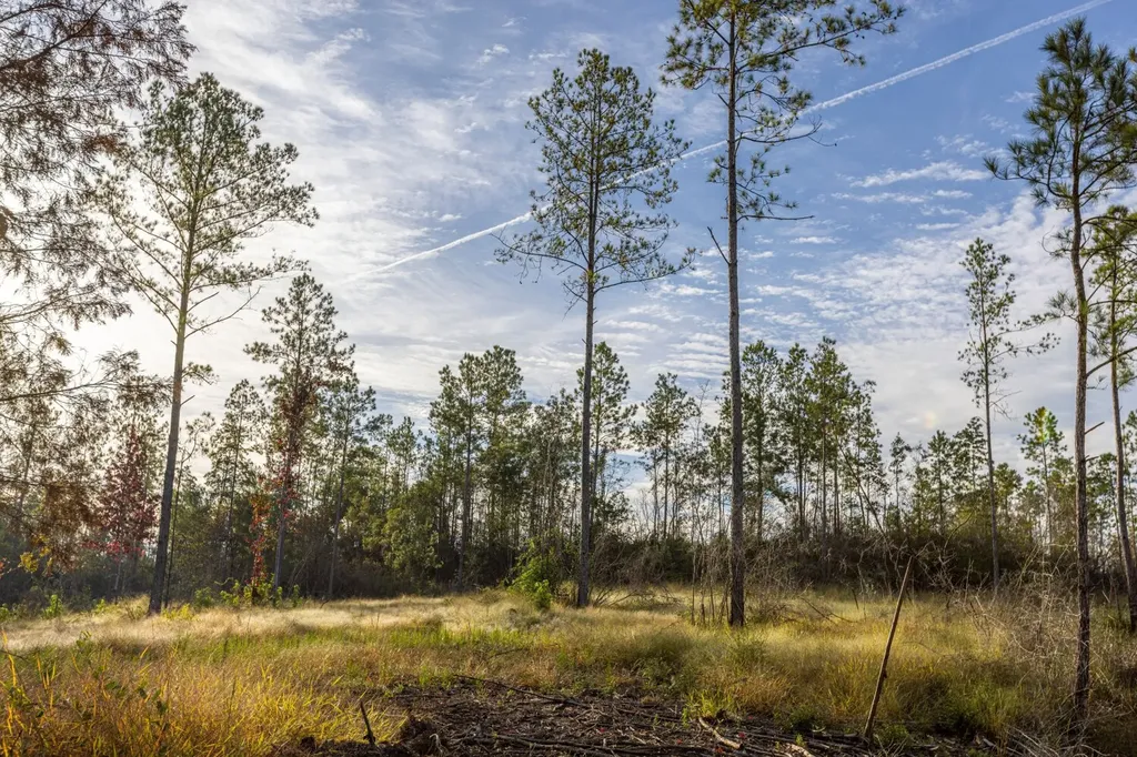 0 Whitehouse Fork Road Bay Minette AL 36507