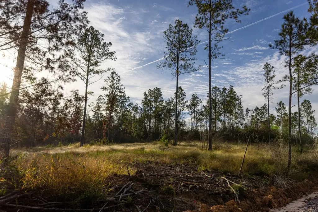 0 Whitehouse Fork Road Bay Minette AL 36507