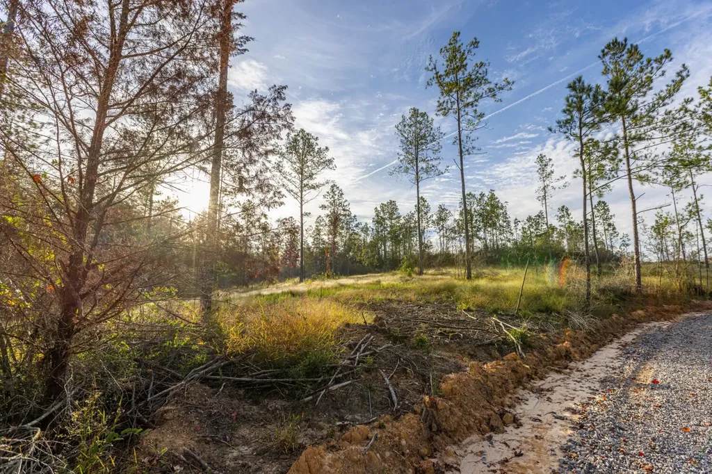 0 Whitehouse Fork Road Bay Minette AL 36507