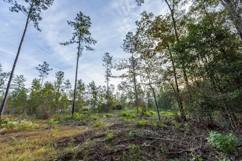 0 Whitehouse Fork Road Bay Minette AL 36507