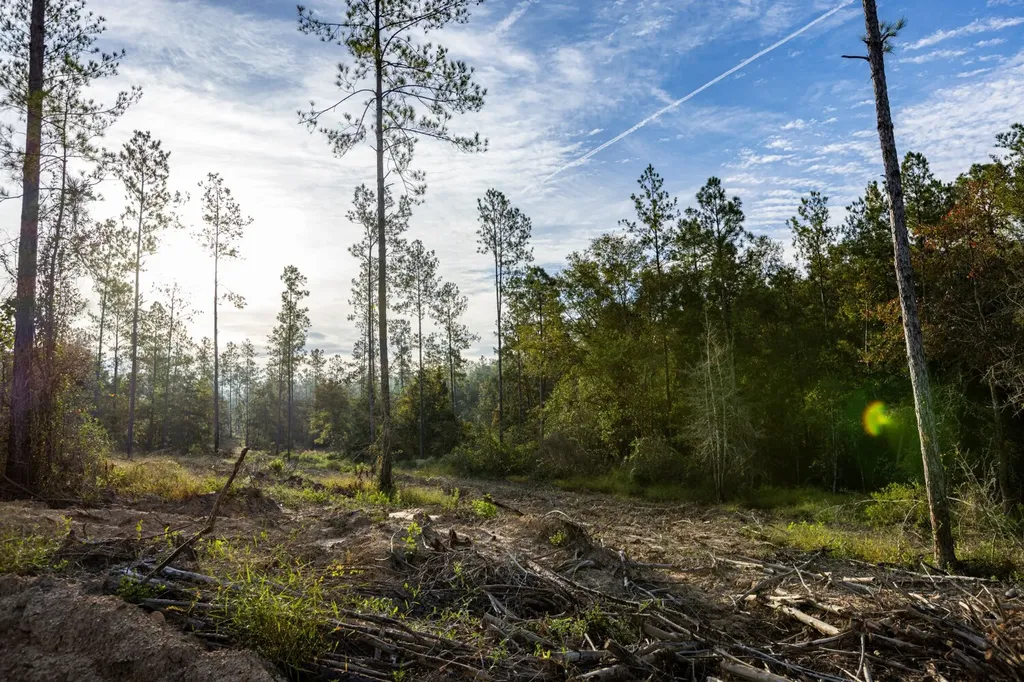 0 Whitehouse Fork Road Bay Minette AL 36507