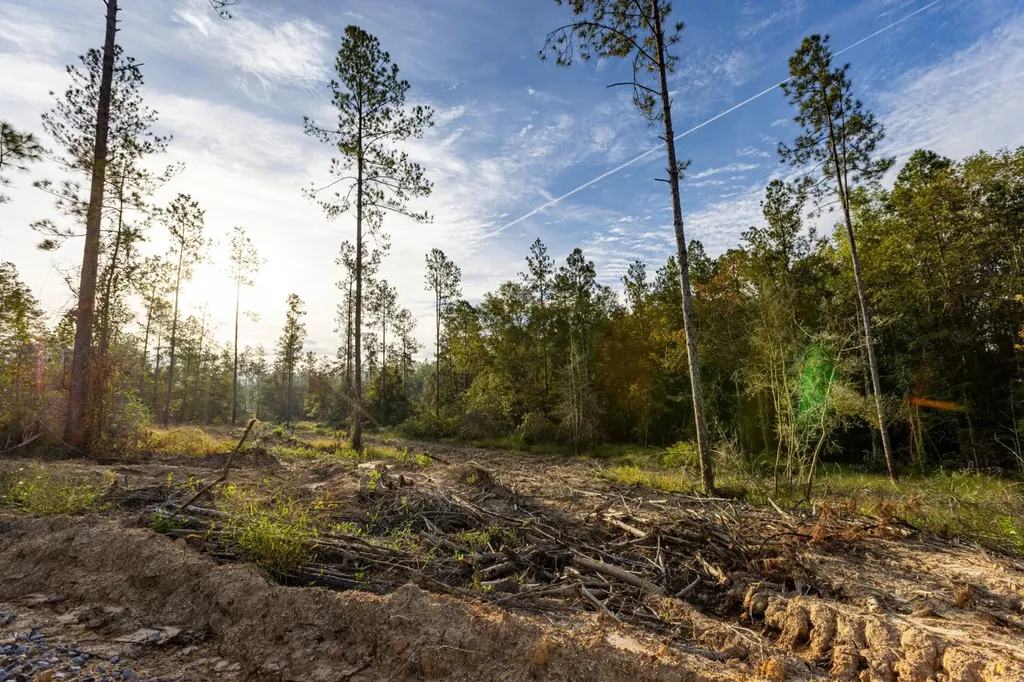 0 Whitehouse Fork Road Bay Minette AL 36507