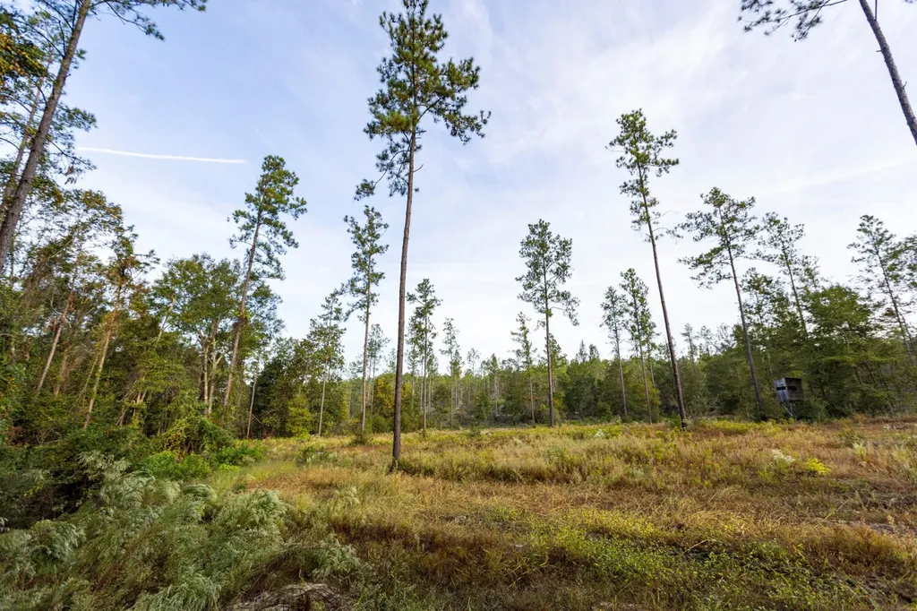 0 Whitehouse Fork Road Bay Minette AL 36507